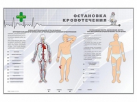 Электрифицированный стенд "Остановка кровотечения" - «globural.ru» - Салехард