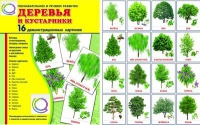 Демонстрационные карточки "Деревья и кустарники" - «globural.ru» - Салехард