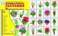 Демонстрационные карточки "Комнатные растения" - «globural.ru» - Салехард