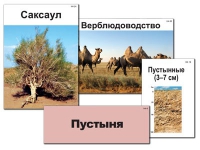 Модель-аппликация "Природные зоны России" - «globural.ru» - Салехард