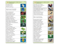 Комплект карточек (10) "Обучающий калейдоскоп. Природа" - «globural.ru» - Салехард