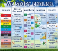 Стенд "We study english" - «globural.ru» - Салехард