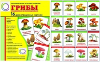 Демонстрационные карточки  "Грибы съедобные и не съедобные" - «globural.ru» - Салехард