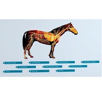 Стенд-планшет светодинамический "Изучение кровеносной системы сельскохозяйственных животных" со сменными панелями - «globural.ru» - Салехард