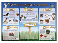 Стенд-уголок "Друзья наши меньшие" - «globural.ru» - Салехард