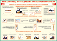  Таблица Общий порядок оказания первой помощи пострадавшим 1000*1400 винил	 - «globural.ru» - Салехард