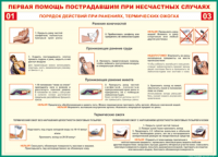 Таблица Порядок действий при ранениях и термических ожогах	 1000*1400 винил - «globural.ru» - Салехард