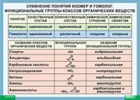 Химия. Сравнение понятий изомер и гомолог. Функциональные группы классов органических веществ (винил) - «globural.ru» - Салехард