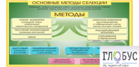 Стенд "Методы селекции и биотехнологии" - «globural.ru» - Салехард