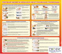 Стенд "Первая доврачебная неотложная помощь" - «globural.ru» - Салехард