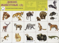 Раздаточные карточки "Дикие животные" часть 2 - «globural.ru» - Салехард