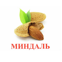 Карточки Домана "Орехи-Ягоды-2" - «globural.ru» - Салехард