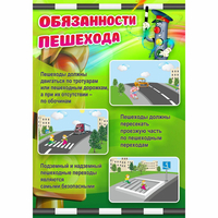 Стенд "Обязанности пешехода" - «globural.ru» - Салехард
