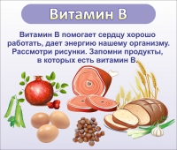 Стенд "Витамин В" - «globural.ru» - Салехард