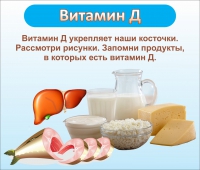 Стенд "Витамин Д" - «globural.ru» - Салехард