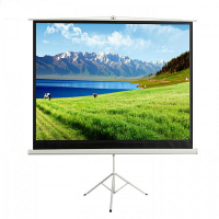 Экран на штативе DSKD-4304 - «globural.ru» - Салехард
