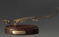 Модель скелета мозазавра Mosasaurus - «globural.ru» - Салехард