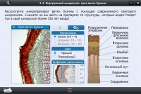 Интерактивные курсы. Биология 5 класс. Базовый  - «globural.ru» - Салехард