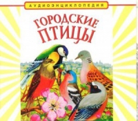 CD "Аудиоэнциклопедия. Городские птицы" - «globural.ru» - Салехард