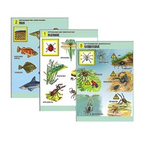 Комплект таблиц для начальной школы "Окружающий мир. Животный мир" - «globural.ru» - Салехард