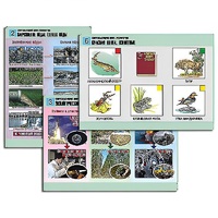 Комплект таблиц для  начальной школы "Окружающий мир. Экология" - «globural.ru» - Салехард