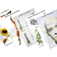 Таблицы по природоведению 1-3 класс - «globural.ru» - Салехард