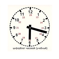 Часовой циферблат раздаточный - «globural.ru» - Салехард