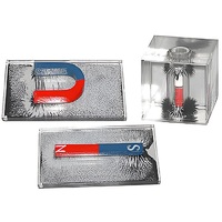 Набор для демонстрации объемных спектров постоянных магнитов - «globural.ru» - Салехард