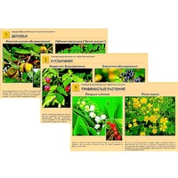 Гербарий фотографический "Ядовитые растения" - «globural.ru» - Салехард