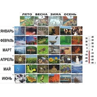 Фенологические наблюдения - «globural.ru» - Салехард