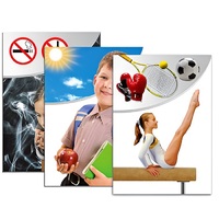 Модель-аппликация "Здоровье человека" - «globural.ru» - Салехард