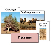 Модель-аппликация "Природные зоны России" - «globural.ru» - Салехард