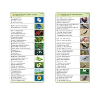 Комплект карточек (10) "Обучающий калейдоскоп. Природа" - «globural.ru» - Салехард