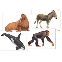 Модель-аппликация "Разнообразие высших хордовых 2. Млекопитающие" (ламинированная) - «globural.ru» - Салехард