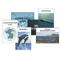 Модель-аппликация "Океаны. Знакомство" (ламинированная) - «globural.ru» - Салехард