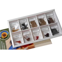 Коллекция "Плоды сельскохозяйственных растений" (вариант 2) - «globural.ru» - Салехард