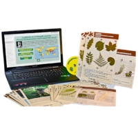 Гербарий натурально-интерактивный к курсу основ общей биологии - «globural.ru» - Салехард