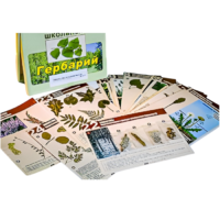 Гербарий к курсу основ общей биологии - «globural.ru» - Салехард