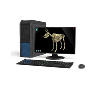 Макет масштабный «Скелет Коровы» Масштаб 1:2 - «globural.ru» - Салехард