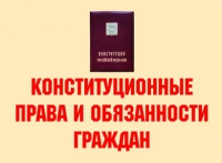 Комплект плакатов "Конституционные права и обязанности граждан" - «globural.ru» - Салехард