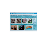 Стенд-планшет светодинамический «Острые отравления животных лекарственными препаратами» - «globural.ru» - Салехард