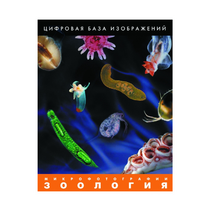 Зоология. Микрофотографии. (Цифровая база изображений) - «globural.ru» - Салехард