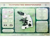 Электрифицированный стенд "Устройство микроскопа и правила работы c ним" - «globural.ru» - Салехард