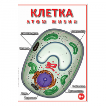 DVD Клетка - "атом жизни" - «globural.ru» - Салехард
