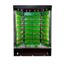 Вертикальная ферма "Моя Микрозелень" комплектация "Театро настольная" - «globural.ru» - Салехард