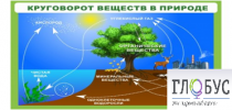 Стенд "Круговорот веществ" - «globural.ru» - Салехард