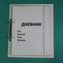 Дневник школьника (с полным набором карточек) - «globural.ru» - Салехард