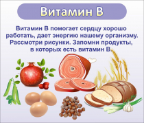 Стенд "Витамин В" - «globural.ru» - Салехард