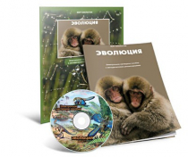 Электронное наглядное пособие «Эволюция» - «globural.ru» - Салехард