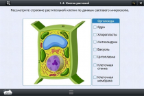Интерактивные курсы. Биология 9 класс. Расширенный - «globural.ru» - Салехард